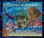 Treasures of the Web Bronze Award