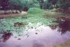 Lake at Biosphere II