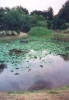 Lake at Biosphere II