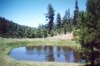 Lockett Meadow