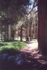 Lockett Meadow