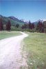 Lockett Meadow