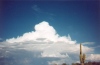 Cumulus Clouds with Saguaro