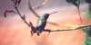 Broad-billed Hummingbird