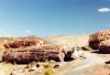 Petrified Forest